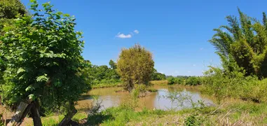 Fazenda / Sítio / Chácara à venda, 24000m² no Zona Rural, Monte Belo do Sul - Foto 13