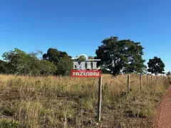 Fazenda / Sítio / Chácara à venda, 190m² no Zona Rural, Faina - Foto 17