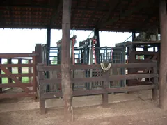 Fazenda / Sítio / Chácara com 1 Quarto à venda, 833460000m² no Centro, São Félix do Araguaia - Foto 10