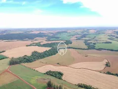 Fazenda / Sítio / Chácara à venda, 1766600m² no Zona Rural, Cascavel - Foto 7