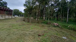Fazenda / Sítio / Chácara à venda, 2400m² no Campina, Tijucas do Sul - Foto 35