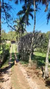 Fazenda / Sítio / Chácara com 3 Quartos à venda, 4804m² no Bosque dos Pinheirinhos, Jundiaí - Foto 24