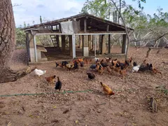 Fazenda / Sítio / Chácara com 3 Quartos à venda, 4600m² no Zona Rural, Monte Alegre - Foto 10