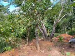 Fazenda / Sítio / Chácara com 2 Quartos à venda, 58m² no Paranoá, Brasília - Foto 8