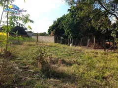 Fazenda / Sítio / Chácara com 1 Quarto à venda, 1100m² no Parque Aeroporto, Campinas - Foto 9