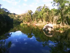 Fazenda / Sítio / Chácara à venda, 30000m² no Centro, São Luiz do Paraitinga - Foto 1