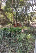 Terreno / Lote / Condomínio à venda, 1000m² no Recanto Campestre Internacional de Viracopos Gleba 4, Indaiatuba - Foto 1