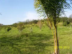 Fazenda / Sítio / Chácara com 3 Quartos à venda, 350m² no Sousas, Campinas - Foto 30