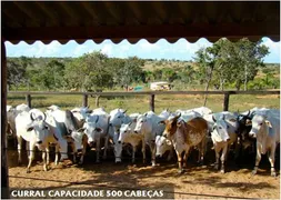 Fazenda / Sítio / Chácara com 4 Quartos à venda, 39790000m² no Centro, Buritizeiro - Foto 8