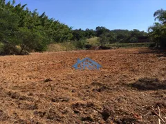 Fazenda / Sítio / Chácara com 3 Quartos à venda, 96000m² no Parque Varanguera, São Roque - Foto 9