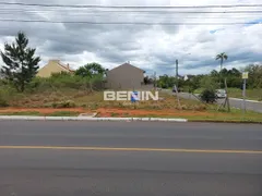 Terreno / Lote / Condomínio para alugar, 448m² no Mont Serrat, Canoas - Foto 4