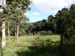 Fazenda / Sítio / Chácara com 5 Quartos à venda, 480000m² no Posse, Petrópolis - Foto 17