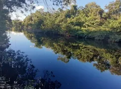 Fazenda / Sítio / Chácara com 1 Quarto à venda, 48m² no Zona Rural, Colinas do Sul - Foto 11