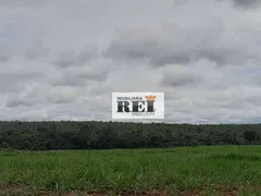 Fazenda / Sítio / Chácara com 3 Quartos à venda, 150m² no Zona Rural, São Valério da Natividade - Foto 8