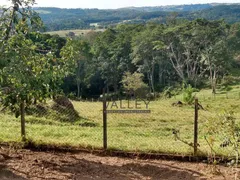 Fazenda / Sítio / Chácara com 2 Quartos à venda, 140m² no Lopes, Valinhos - Foto 29