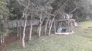 Fazenda / Sítio / Chácara com 3 Quartos à venda, 5500m² no Campina do Taquaral, São José dos Pinhais - Foto 22