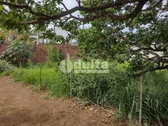 Terreno / Lote / Condomínio à venda, 600m² no Jardim Inconfidência, Uberlândia - Foto 2