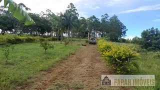 Fazenda / Sítio / Chácara com 3 Quartos à venda, 135m² no Maravilha, Londrina - Foto 2