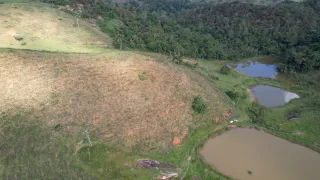 Fazenda / Sítio / Chácara com 20 Quartos à venda, 3732000m² no Ipiabas, Barra do Piraí - Foto 27