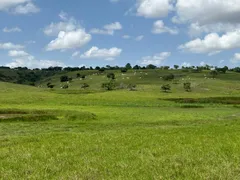 Fazenda / Sítio / Chácara à venda, 212000m² no Area Rural de Garanhuns, Garanhuns - Foto 3