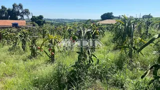 Fazenda / Sítio / Chácara com 3 Quartos à venda, 170m² no Reforma Agraria, Valinhos - Foto 33