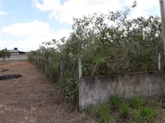 Terreno / Lote / Condomínio com 1 Quarto à venda, 1000m² no Aldeia dos Camarás, Camaragibe - Foto 29
