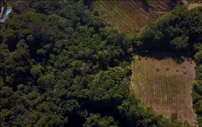 Fazenda / Sítio / Chácara com 1 Quarto à venda, 20000m² no Zona Rural, Caxias do Sul - Foto 14