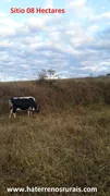 Fazenda / Sítio / Chácara com 1 Quarto à venda, 100000m² no Centro, Bom Jardim de Minas - Foto 1