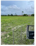 Fazenda / Sítio / Chácara com 6 Quartos à venda, 33000m² no Caponguinha, Pindoretama - Foto 26