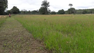 Fazenda / Sítio / Chácara à venda, 1800000m² no Zona Rural, Santa Bárbara do Pará - Foto 2