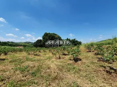 Terreno / Lote / Condomínio à venda, 174000m² no Macuco, Valinhos - Foto 10