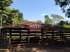 Fazenda / Sítio / Chácara à venda no Morada do Lago, Trindade - Foto 14