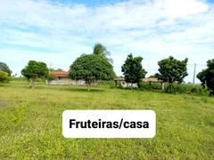 Fazenda / Sítio / Chácara com 3 Quartos à venda, 12000m² no Zona Rural, Lagoa de Pedras - Foto 7