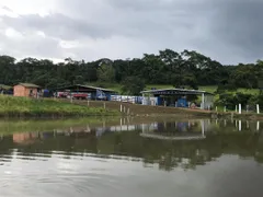 Fazenda / Sítio / Chácara com 9 Quartos à venda, 800m² no Zona Rural, Gameleira de Goiás - Foto 26