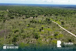 Fazenda / Sítio / Chácara à venda, 1268m² no Zona Rural, Rio Sono - Foto 5