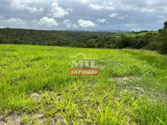 Fazenda / Sítio / Chácara à venda, 75m² no Zona Rural, Paraúna - Foto 3