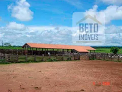 Fazenda / Sítio / Chácara à venda, 999999999m² no Zona Rural, Rondolândia - Foto 4
