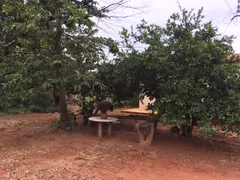 Fazenda / Sítio / Chácara com 3 Quartos à venda, 9500m² no Area Rural de Ceilandia, Brasília - Foto 12