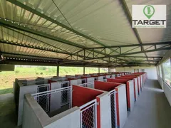 Fazenda / Sítio / Chácara com 3 Quartos para venda ou aluguel, 500m² no Colégio, Ibiúna - Foto 3