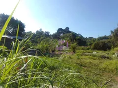 Terreno / Lote / Condomínio à venda, 1900m² no Águas da Fazendinha, Carapicuíba - Foto 2