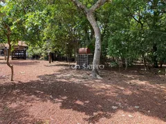 Fazenda / Sítio / Chácara com 3 Quartos à venda, 150m² no Zona Rural, Anápolis - Foto 23