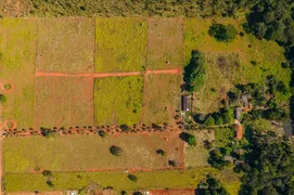 Fazenda / Sítio / Chácara com 3 Quartos à venda, 300m² no Zona Rural, Luziânia - Foto 16