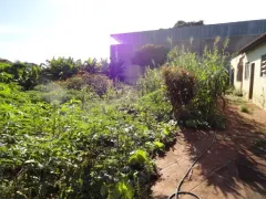 Terreno / Lote / Condomínio com 1 Quarto à venda, 410m² no Alto do Ipiranga, Ribeirão Preto - Foto 34