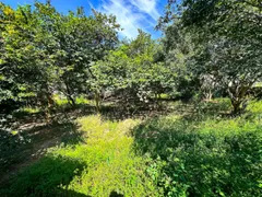 Fazenda / Sítio / Chácara com 2 Quartos à venda, 3000m² no Centro, Socorro - Foto 6