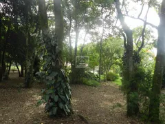 Fazenda / Sítio / Chácara com 5 Quartos à venda, 640m² no Parque Valinhos, Valinhos - Foto 32