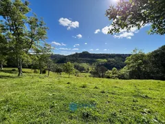 Fazenda / Sítio / Chácara com 1 Quarto à venda, 20000m² no São Victor Cohab, Caxias do Sul - Foto 17