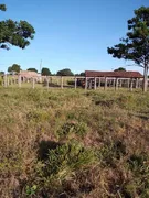 Fazenda / Sítio / Chácara à venda no Zona Rural, Urucuia - Foto 16