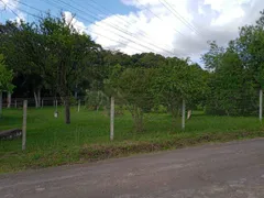 Terreno / Lote / Condomínio à venda, 100000m² no , Cruzeiro do Sul - Foto 7