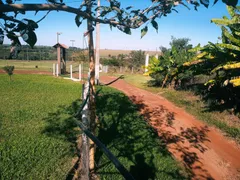 Fazenda / Sítio / Chácara com 4 Quartos à venda, 6000m² no Zona Rural, Santa Terezinha de Itaipu - Foto 12