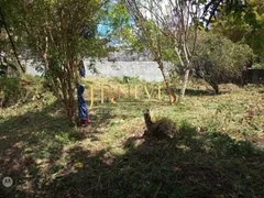 Terreno / Lote Comercial à venda, 250m² no Itarare, Embu-Guaçu - Foto 3